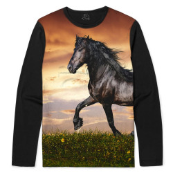 Camiseta Manga Longa Cavalo